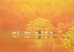 現代作家秀美展;